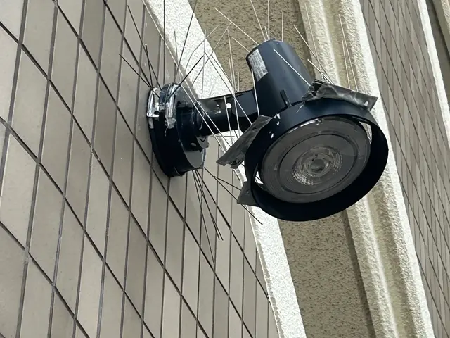 ベランダに来る鳩でお困りの方ご相談下さい！鳥害獣対策工事は弊社へお任せください♪サービスの画像