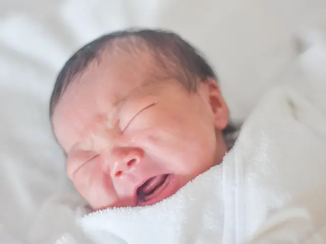 ◎ママカメラマン◎ご家族の一生の思い出に！サービスの画像