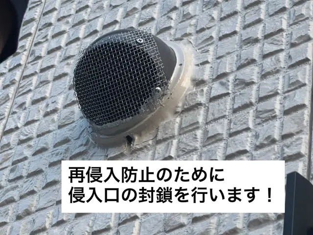 コウモリ駆除・侵入口封鎖工事（追い出し＋消毒対応可）サービスの画像