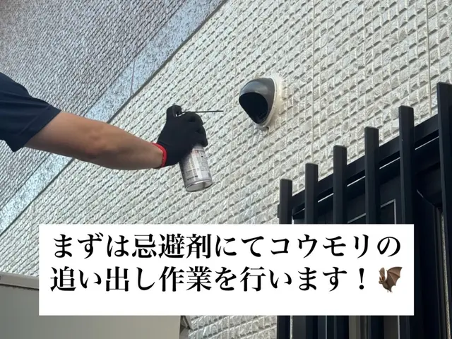 コウモリ駆除・侵入口封鎖工事（追い出し＋消毒対応可）サービスの画像