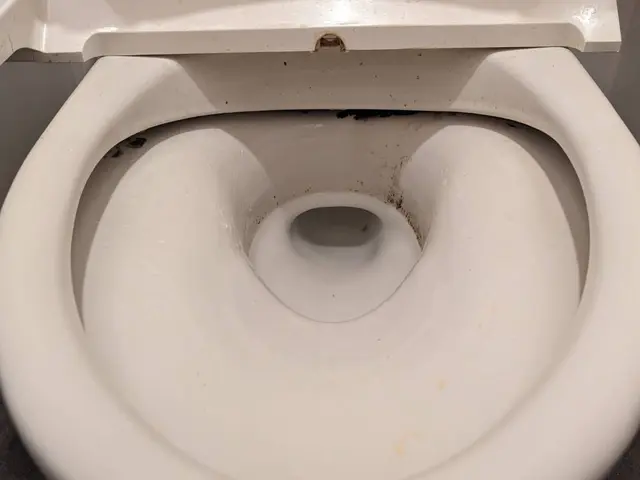 日本ハウスクリーニング振興会認定資格保持者が丁寧に作業いたします！サービスの画像