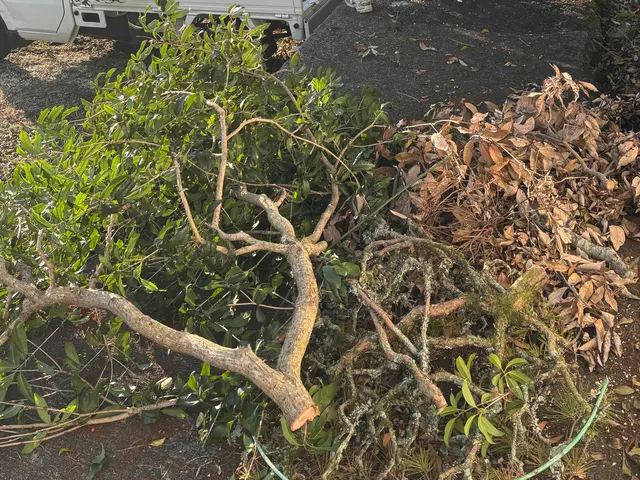 お客様のお力になります！経験と知識を活かして迅速丁寧に作業いたしますサービスの画像