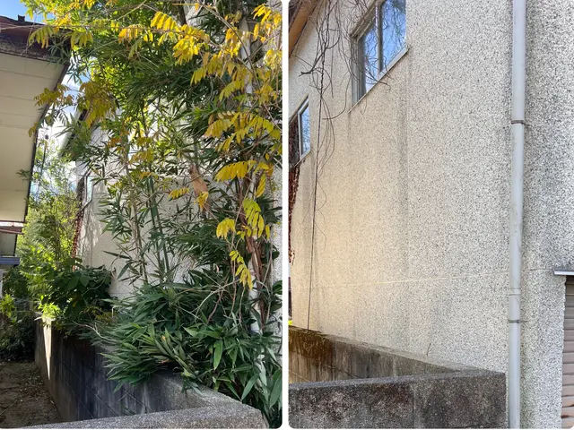 伸びた草！即解決！駐車場3台分の草刈りスッキリ仕上げサービスの画像