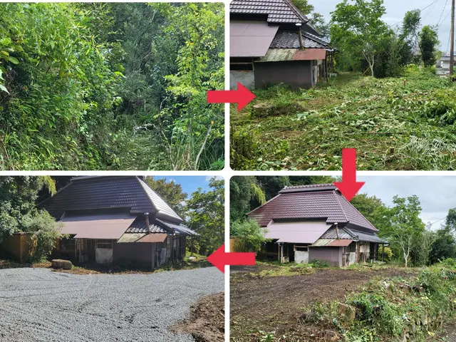 伸びた草！即解決！駐車場3台分の草刈りスッキリ仕上げサービスの画像