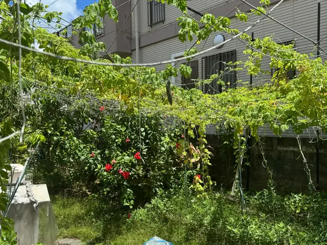 沖縄うるま市発！即日対応可能な地元密着型サービスで安心丁寧な仕上がりをお約束サービスの画像