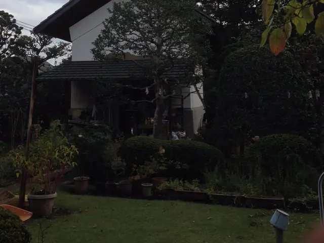 ◇植え込みの剪定◇職人が作業終了まで丁寧に対応します！サービスの画像