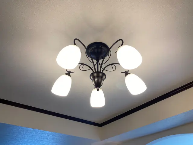 【三つ子パパが代表！】どんな人が来るか不安…20代の若さと元気でお客様に安心を！サービスの画像