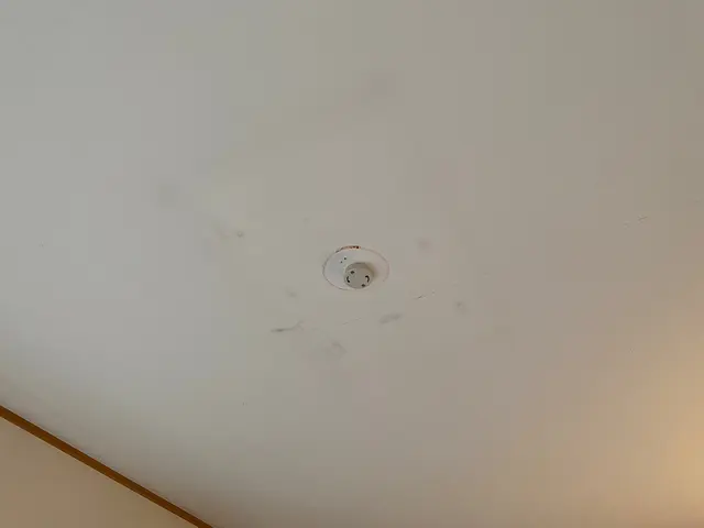 【三つ子パパが代表！】どんな人が来るか不安…20代の若さと元気でお客様に安心を！サービスの画像