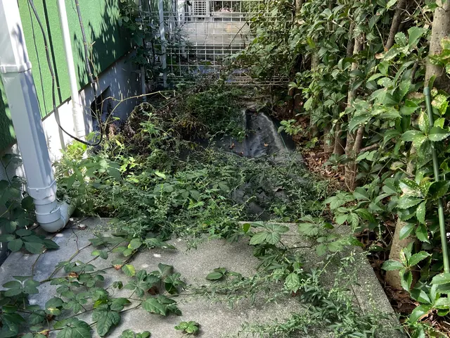 手作業で丁寧除草！庭・駐車場・空き地まで対応します！サービスの画像