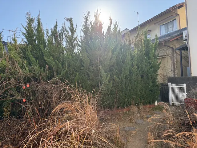 庭木1本から対応！伐採・抜根・処分までお任せください。サービスの画像