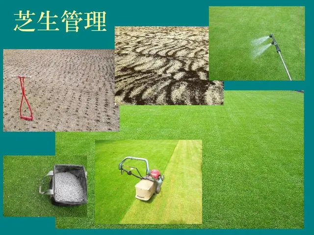 1級造園施工管理技士✿プロの技術でお応えします！高麗芝(人工芝・ＴＭ９別途対応)サービスの画像