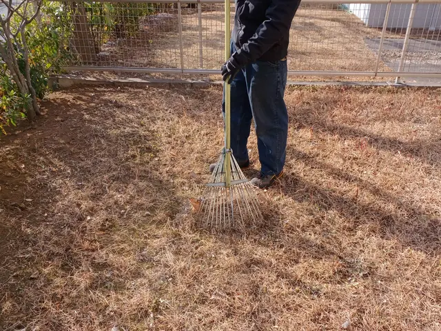プロの技術でご満足いただけるように心を込めて作業いたしますサービスの画像