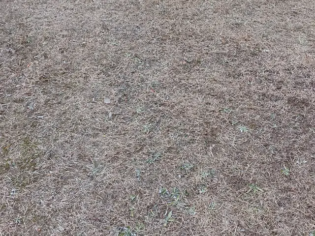 プロの技術でご満足いただけるように心を込めて作業いたしますサービスの画像