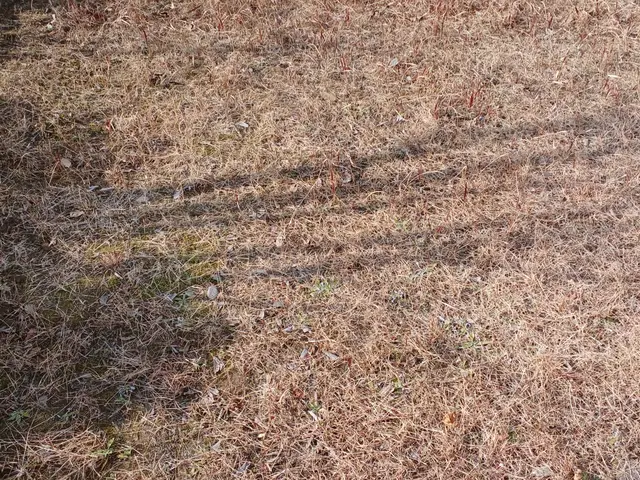 プロの技術でご満足いただけるように心を込めて作業いたしますサービスの画像