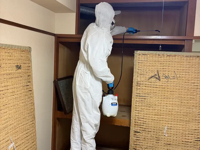 【即日対応可能】薬剤噴霧、熱風処理、高温スチームで徹底駆除！畳裏まで施工します。サービスの画像