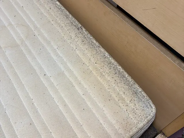 【即日対応可能】3種類の強力薬剤と高温スチームで徹底駆除サービスの画像