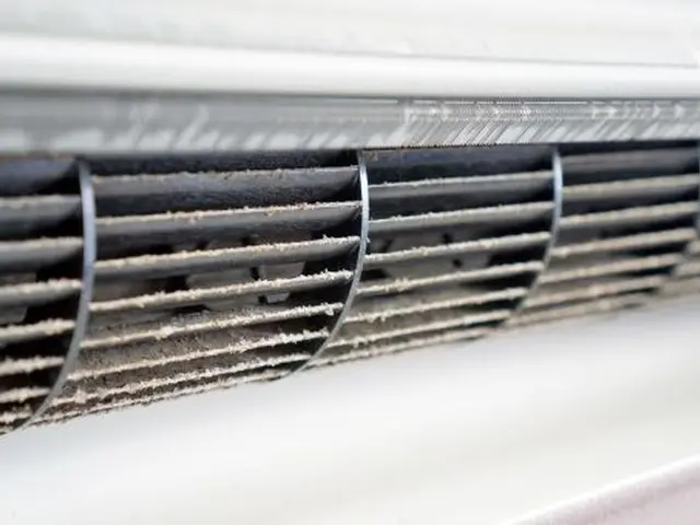 現金払いの場合、消臭コートサービス！お掃除機能不可サービスの画像