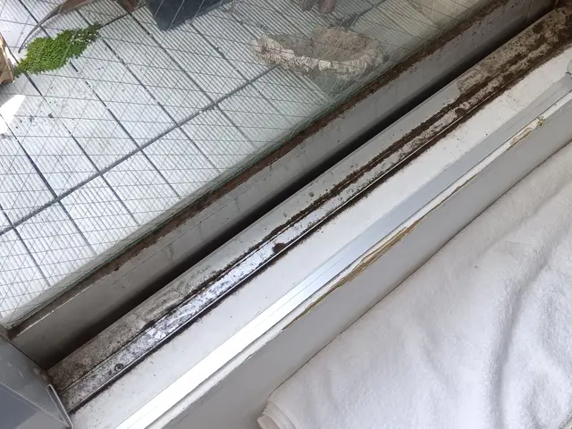 すべて自社対応◎損害保険加入済み！訪問時の駐車場代は当店が負担します♪サービスの画像