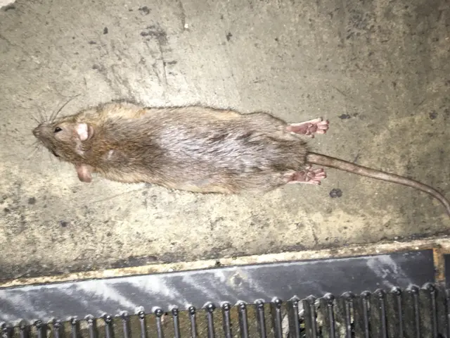 【100%自社対応】地域密着♪家族の安らげる空間をお守りします！サービスの画像