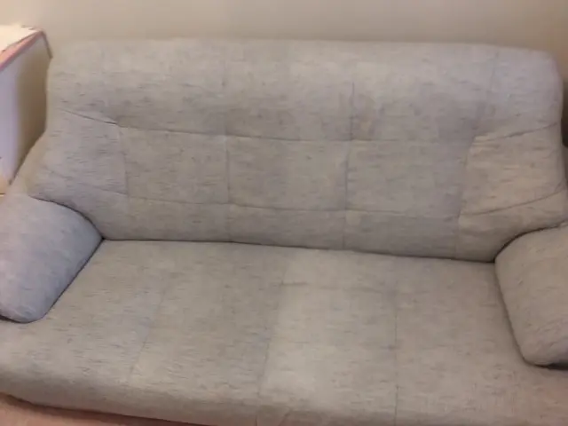 【ソファークリーニング専門店】カビ嘔吐/ペット尿/シミ/ダニ駆除はお任せ下さい！サービスの画像