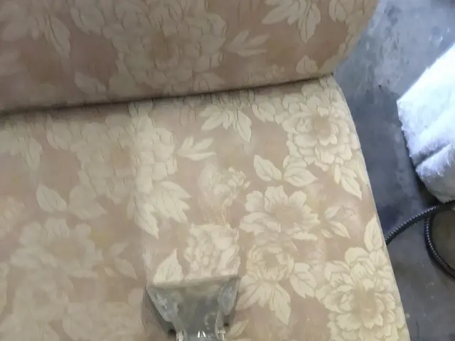 【ソファークリーニング専門店】カビ嘔吐/ペット尿/シミ/ダニ駆除はお任せ下さい！サービスの画像