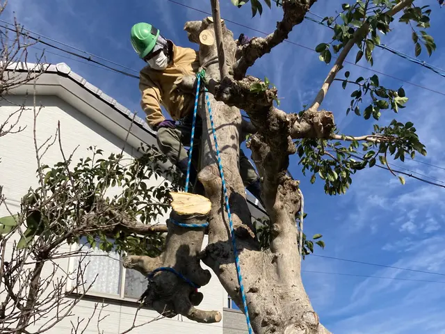 実績20年以上　パワーショベルやクレーンなど資格有　各種保険加入済◎サービスの画像