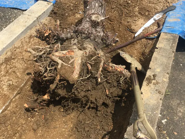 実績20年以上　パワーショベルやクレーンなど資格有　各種保険加入済◎サービスの画像