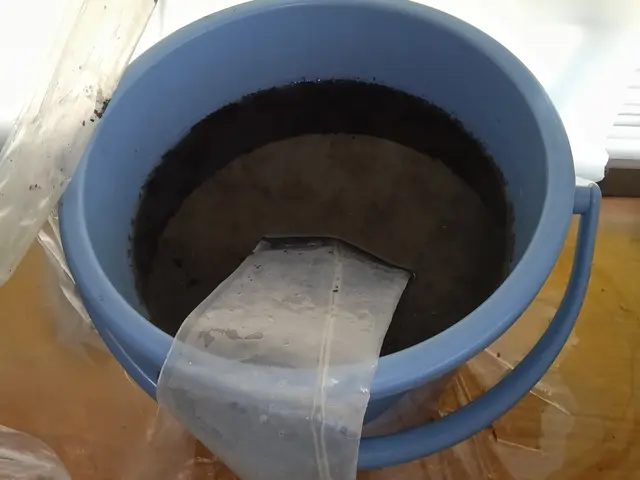 店長自らが必ずお伺い！安全な天然植物洗剤使用で安心の自社スタッフ対応サービスの画像