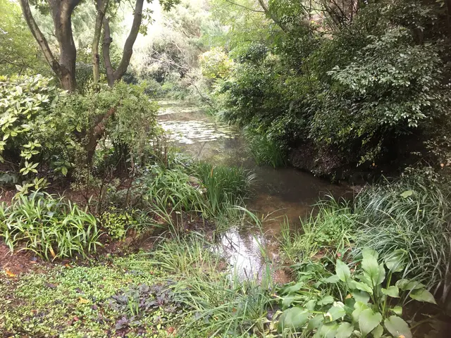 庭木の植替え、芝の張替えのご相談でもOKサービスの画像