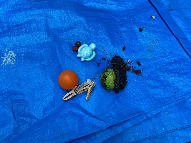 【地域最安値！！】詰まりを根本解決！プロの雨樋掃除で雨漏り予防◎サービスの画像