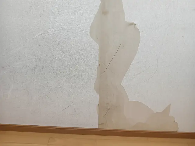 クロスクリアコーティングサービスの画像