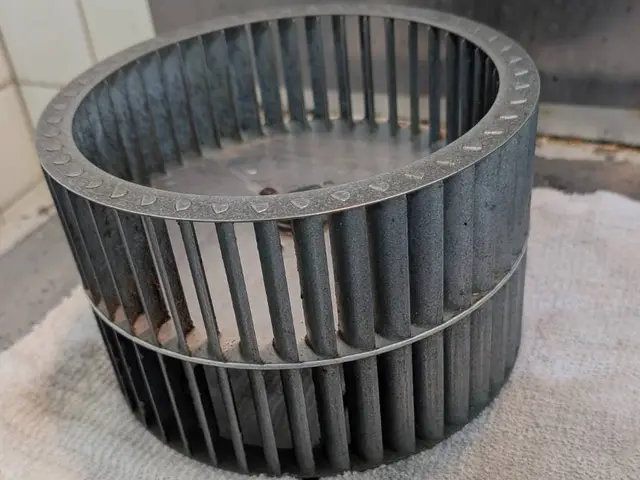 セットがお得！カビも水アカも徹底除去！サービスの画像