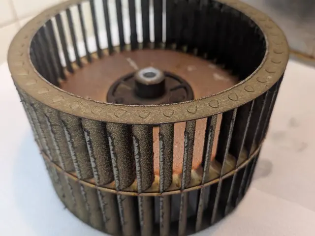 セットがお得！カビも水アカも徹底除去！サービスの画像