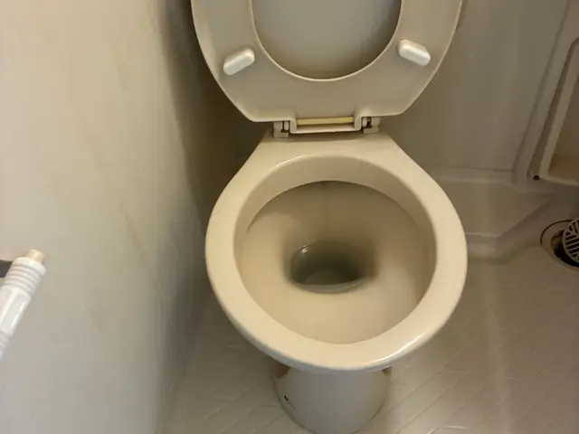 【オゾン消臭施工】見えない汚れも除去、お部屋の臭いや菌を完全除去しますサービスの画像