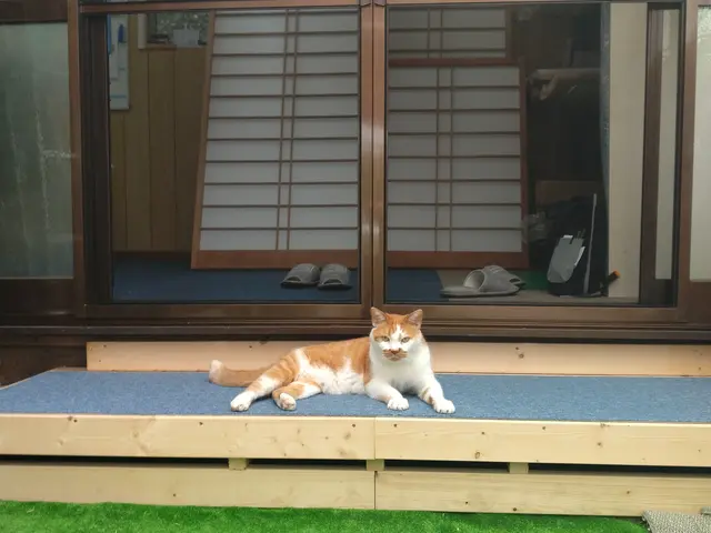 地域密着！ペット用網戸の取り付けも対応！他店で断られた網戸もご相談くださいサービスの画像