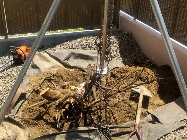 【業歴20年以上の実績】店長の私がお伺いします◎駐車場代は当店負担サービスの画像