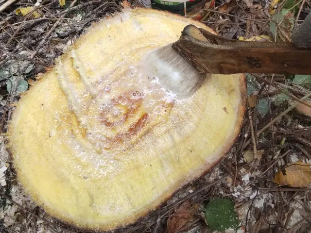 【業歴20年以上の実績】店長の私がお伺いします◎駐車場代は当店負担サービスの画像