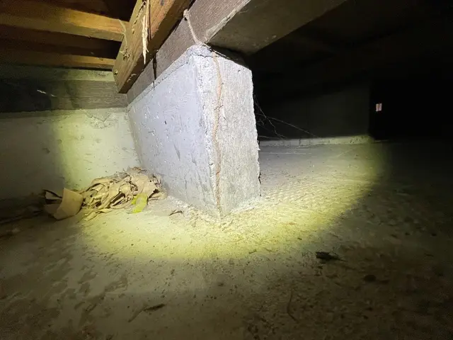 岡山県　シロアリ駆除　シロアリ退治サービスの画像