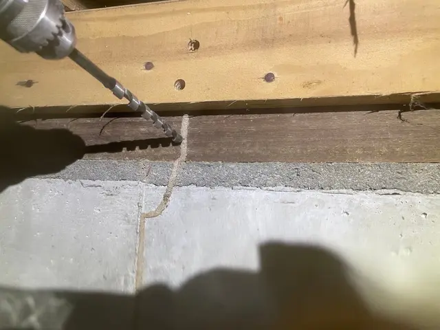 岡山県　シロアリ駆除　シロアリ退治サービスの画像