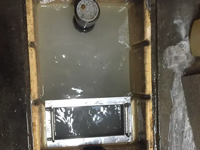 【25年以上・年間4,000件以上の害虫駆除実績】毎月飲食店で洗浄してます！！サービスの画像