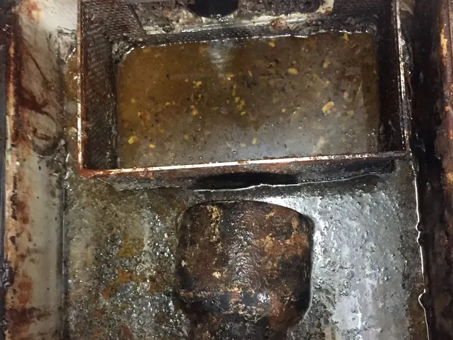 【25年以上・年間4,000件以上の害虫駆除実績】毎月飲食店で洗浄してます！！サービスの画像