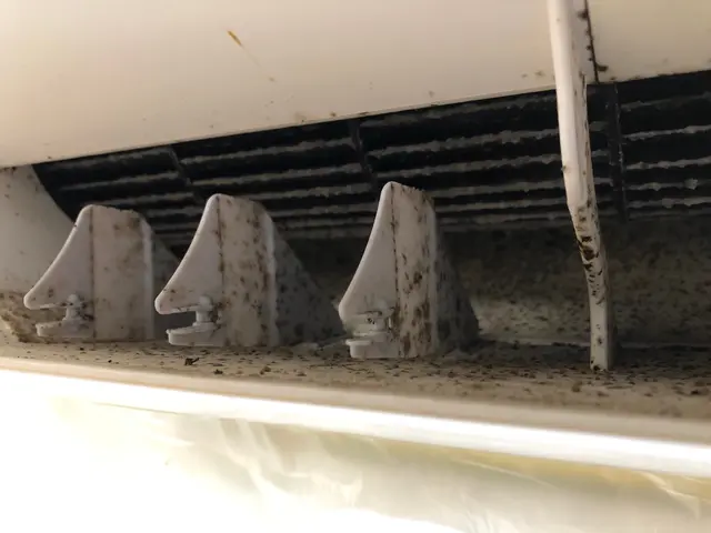 ◇2台で9,800円◇黒カビ徹底除去◇ワンちゃんネコちゃんも安心◇サービスの画像