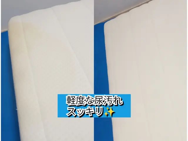 高評価店◎汚れ、匂いを徹底除去(*^^*)ペットや子供にも優しい洗剤使用◎サービスの画像