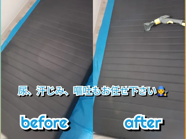 高評価店◎汚れ、匂いを徹底除去(*^^*)ペットや子供にも優しい洗剤使用◎サービスの画像