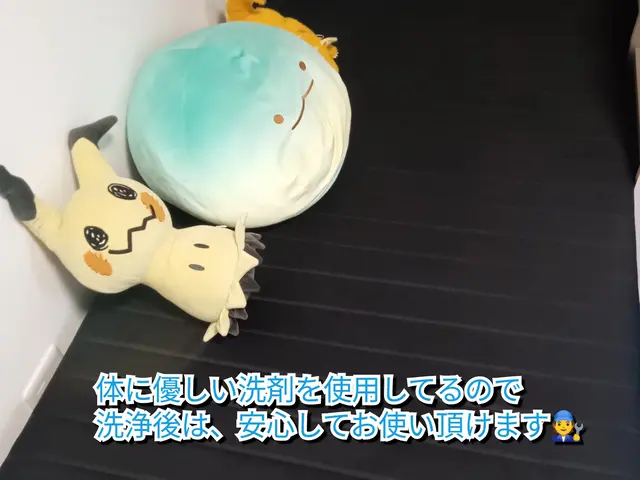 高評価店◎汚れ、匂いを徹底除去(*^^*)ペットや子供にも優しい洗剤使用◎サービスの画像