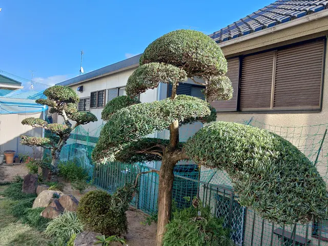 ◆◇10月新規出店◇◆経験16年の職人がお客様のご希望に寄り添う◎サービスの画像