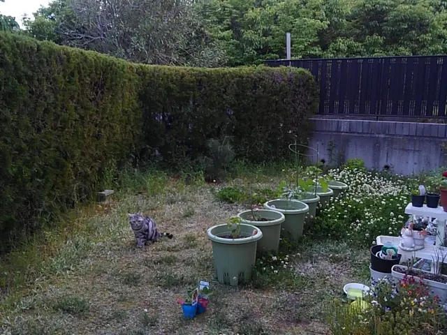 ◆◇10月新規出店◇◆経験16年の職人がお客様のご希望に寄り添う◎サービスの画像