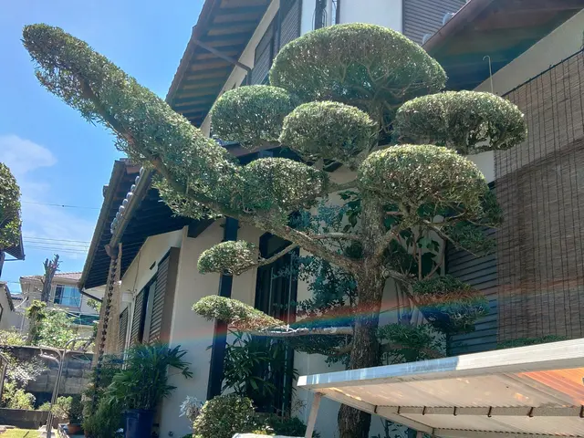 ◆◇10月新規出店◇◆経験16年の職人がお客様のご希望に寄り添う◎サービスの画像