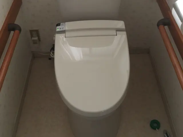 便座の取替と除菌清掃のセットで安心♪損保加入 PayPay 非喫煙者が訪問作業サービスの画像