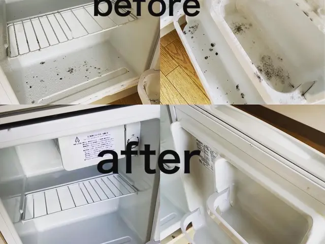 雑菌や細菌も徹底的に除菌し、食材の管理も安心できる環境に！サービスの画像